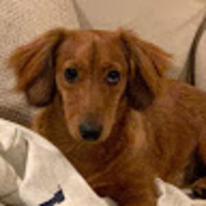 Meet your Posher, Ernelle